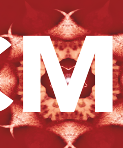 Conscious Magic Episode 3 by Ran Pink and Andrew Gerard. ( Instant Download )