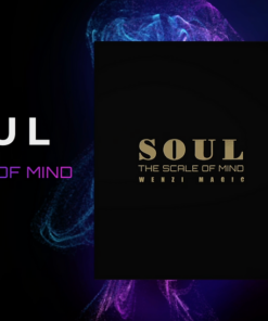 Soul by Wenzi. ( Instant Download )