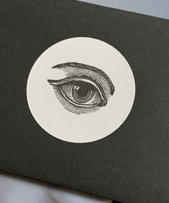Nokey by Fraser Parker ( Instant Download )