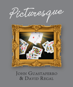 John Guastaferro & David Regal - Picturesque ( Instant Download )