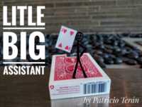 Little Big Assistant by Patricio Teran. ( Instant Download )
