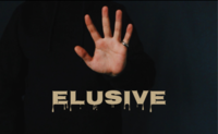 Elusive by Sultan Orazaly. ( Instant Download )