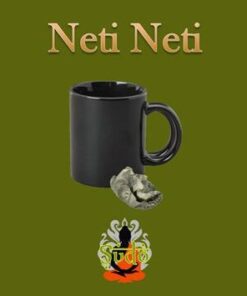 Neti Neti by Sudo Nimh. ( Instant Download )