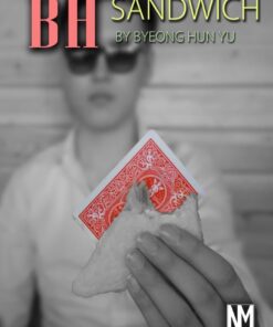 Yu Byeong Hun - BH Sandwich ( Instant Download )