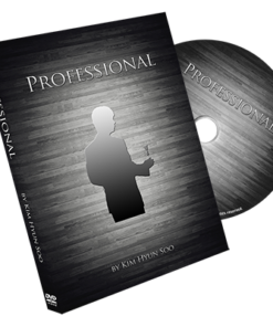 Professional by Kim Hyun Soo ( Instant Download )