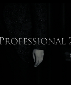 Professional 2 by Kim Hyun Soo ( Instant Download )