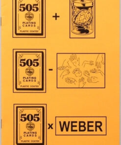 505 Lecture Notes by Michael Weber. ( Instant Download )