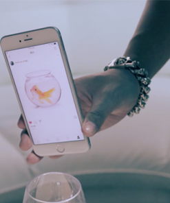 SansMinds – The Instagram Project ( Instant Download )