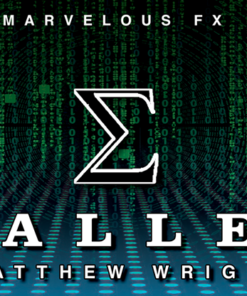 E Wallet by Matthew Wright ( Instant Download )