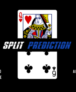 Split Prediction by Massimo Cascione & Anthony Stan. ( Instant Download )