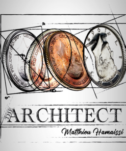 The Architect by Matthieu Hamaissi. ( Instant Download )
