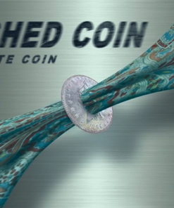 Polished Coin by Jonio. ( Instant Download )