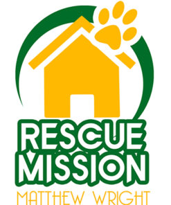 RESCUE MISSION  by Matthew Wright. ( Instant Download )