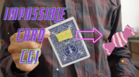 Impossible card CGI by Anthony Vasquez ( Instant Download )