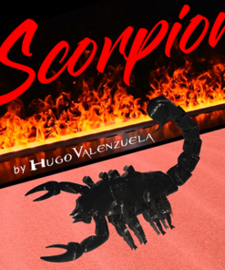 SCORPION by Hugo Valenzuela. ( Instant Download )