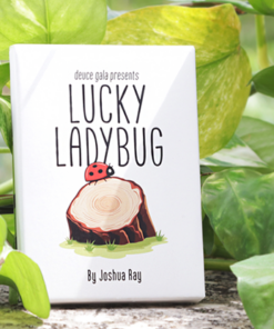 Lucky Ladybug by Joshua Ray & Deuce Gala Magic. ( Instant Download )