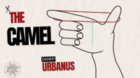 The Vault - The Camel by Danny Urbanus. ( Instant Download )