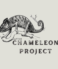 The Chameleon Project by Michael Shaw ( Instant Download )
