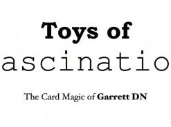 Toys Of Fascination by Garrett D.N ( Instant Download )