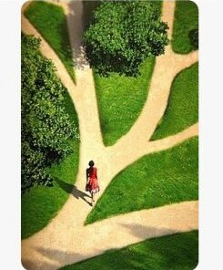 The Illusion Of Choice by Art Vanderlay ( Instant Download )