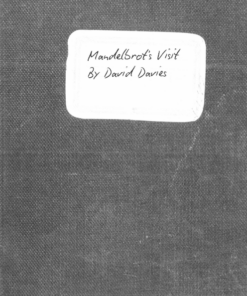 Mandelbrot's Visit by David Davies ( Instant Download )