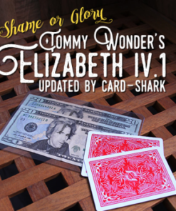 Elizabeth IV.1 by Tommy Wonder ( Instant Download )