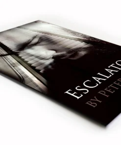 Escalators by Peter Turner ( Instant Download )