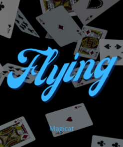 Magicat – FLYING ( Instant Download )