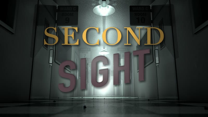SecondSight-3