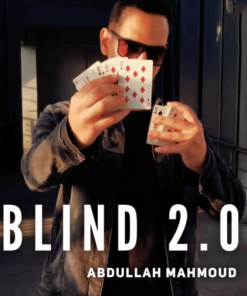 Abdullah Mahmoud – BLIND 2.0 ( Instant Download )