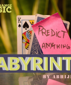 Abhijit Das – LABYRINTH ( Instant Download )