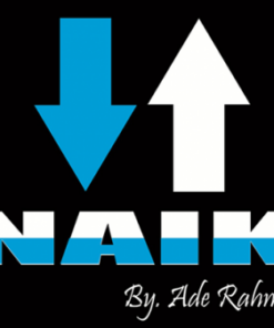 Ade Rahmat – NAIK ( Instant Download )