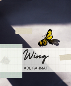 Ade Rahmat – The Vault – WING ( Instant Download )