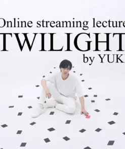 Yuki Iwane - TWILIGHT ( Instant Download )