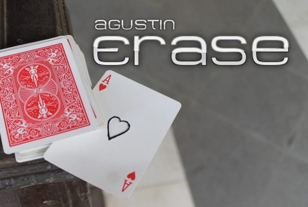 agustin-erase-instant-download-600x404-1
