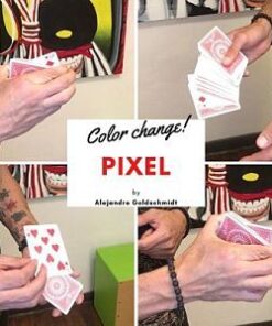 Alejandro Goldschmidt – Pixel Change (all videos included) ( Instant Download )