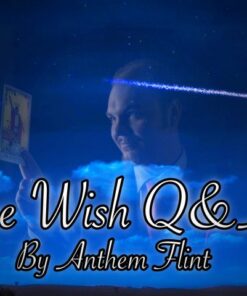 Anthem Flint – The Wish Q & A ( Instant Download )
