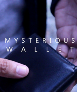 Arnel Renegado – Mysterious Wallet (Instant Download)