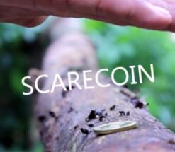 Arnel Creations - SCARECOIN ( Instant Download )