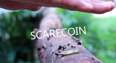 arnel20creations20-20scarecoin