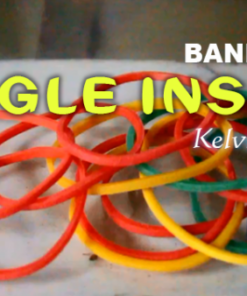Kelvin Trinh – Bandarious Single Insane ( Instant Download )