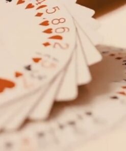 Tricks and Cardician by Svyat (2 DVD sets) ( Instant Download )
