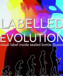 Ben Williams – Labelled Evolution ( Instant Download )