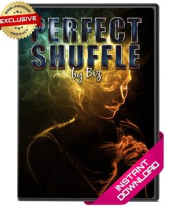 Biz – The Perfect Shuffle ( Instant Download )