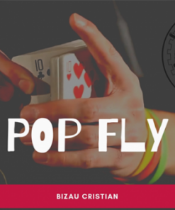 Bizau Cristian – The Vault – Pop Fly ( Instant Download )
