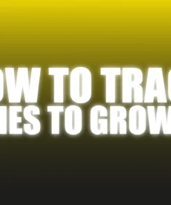How To Track Enquiries To Grow Sales - The Netrix. ( Instant Download )