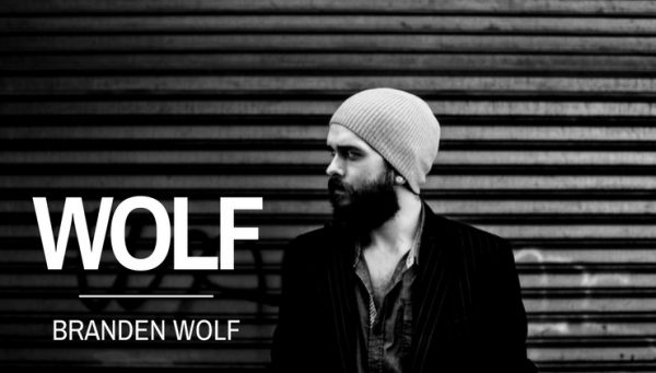 branden-wolf-wolf-600x341-1
