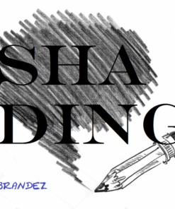 Brandez – Shading ( Instant Download )