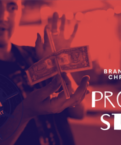 Brandon David & Chris Turchi – Project Straw ( Instant Download )