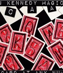 Brian Kennedy - Acaan ( Instant Download )